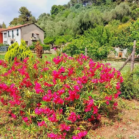 La Casa Di Simona Apartamento